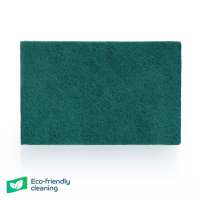 Eco Caterers Scourer, Green, 10/Pack