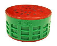 Animate Cooling Fruit Dog Toy - Melon x 1