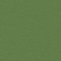 Select Colours Mountboard Spinach