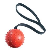 Classic Rubber Pimple Ball on Rope 70mm x 1