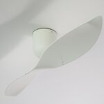 Aeratron AE2+ 2 Blade 50" DC White Ceiling Fan