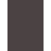 Farrow & Ball Tanners Brown Colour Swatch