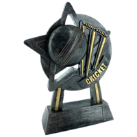 18cm Star Cricket Award (Ant Silver & Gold)