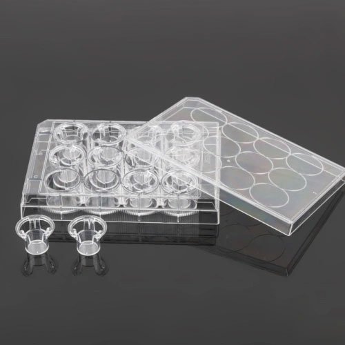 Single 12 Well Plate + 12 Cell Culture Inserts, PET Membrane, 8&mu;m, TC Treated, Sterile, 4 plates