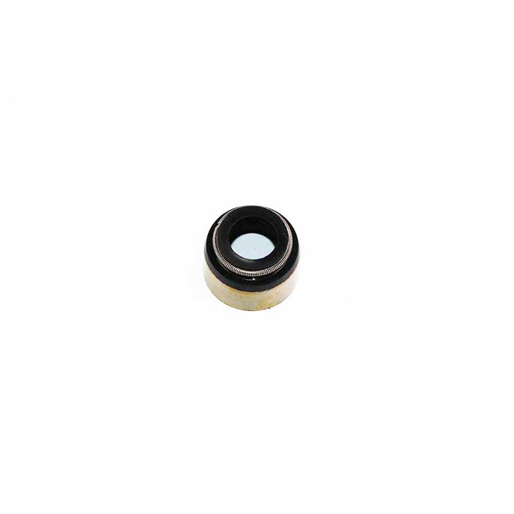 SEAL VALVE STEM