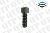 Steering Cylinder Bolt