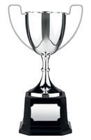12.5cm Swatkins Replica Nickle Plated Cup