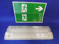 Maintained LED IP65 3W Emergency