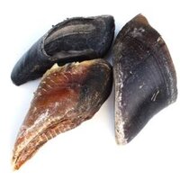 Hollings Cows Hooves - Plain Empty x 25