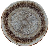 Iris Presentation Plate 31 cm Carton of 6