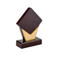 18cm Wood Blaze Plaque (V203)