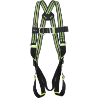 Body Harness 2 Attachment Points