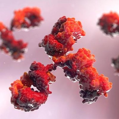 Anti-Mouse IgG (H+L) Antibody, Human Serum Adsorbed and Peroxidase labeled