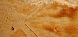 Cookstown Panel Centre Ltd, Adhesives