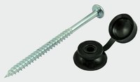 Corrugated Roofing Screw and Black Washer 5x75mm Bag of 50