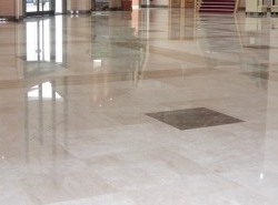 Floorcare Chemicals