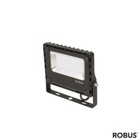 Robus Champion 30W LED Floodlight IP65 Black 4000K