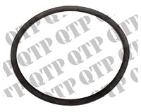 580395_O_Ring.jpg