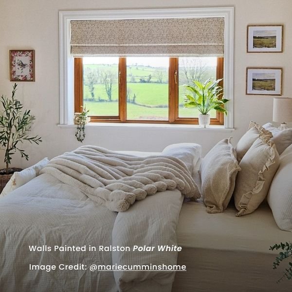 Bedroom Walls Painted in Ralston Polar Moon 