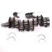CRANKSHAFT KIT C W BEARINGS