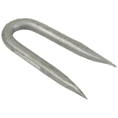 Galvanised Staples 40mm 0.5kg 19003231