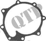Water Pump Gasket