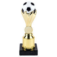 19cm Soccer Ball Trophy (V202)
