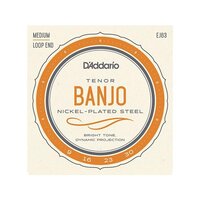 Daddario EJ63 Tenor Nickel Wound Loop-End Banjo Strings 9-30