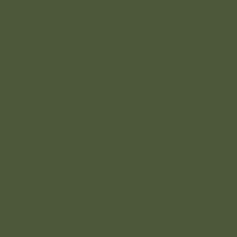 Army Green - RM21