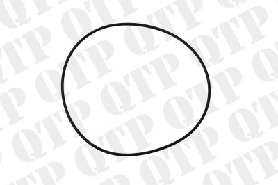 ZF 0750.112.221 - Piston O-Ring