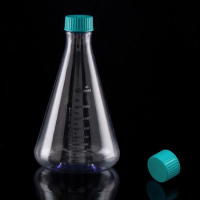 Erlenmeyer Flask