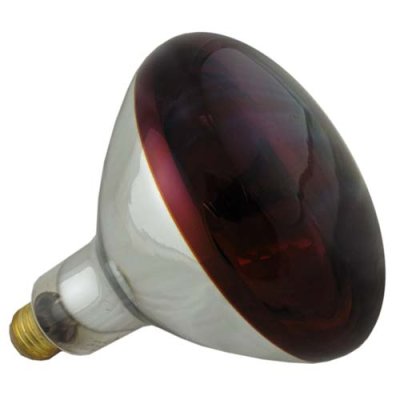 250W INFRA RED ,  RED   HG ES    ( BOX 12 )