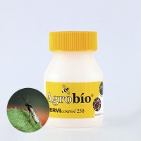 ErviControl - Aphidius ervi - 250 mummies