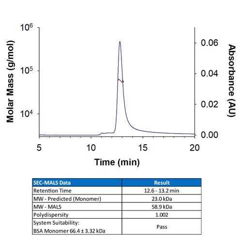 Protein, Recombinant Human Noggin Protein, 100 &micro;g