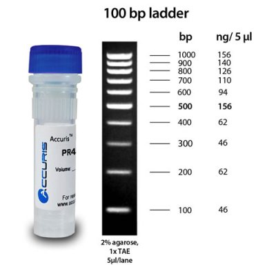 Accuris SmartCheck 100bp DNA Ladder, 500µl / 100 lanes