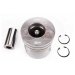 PISTON, PIN & CLIPS - 1.00MM