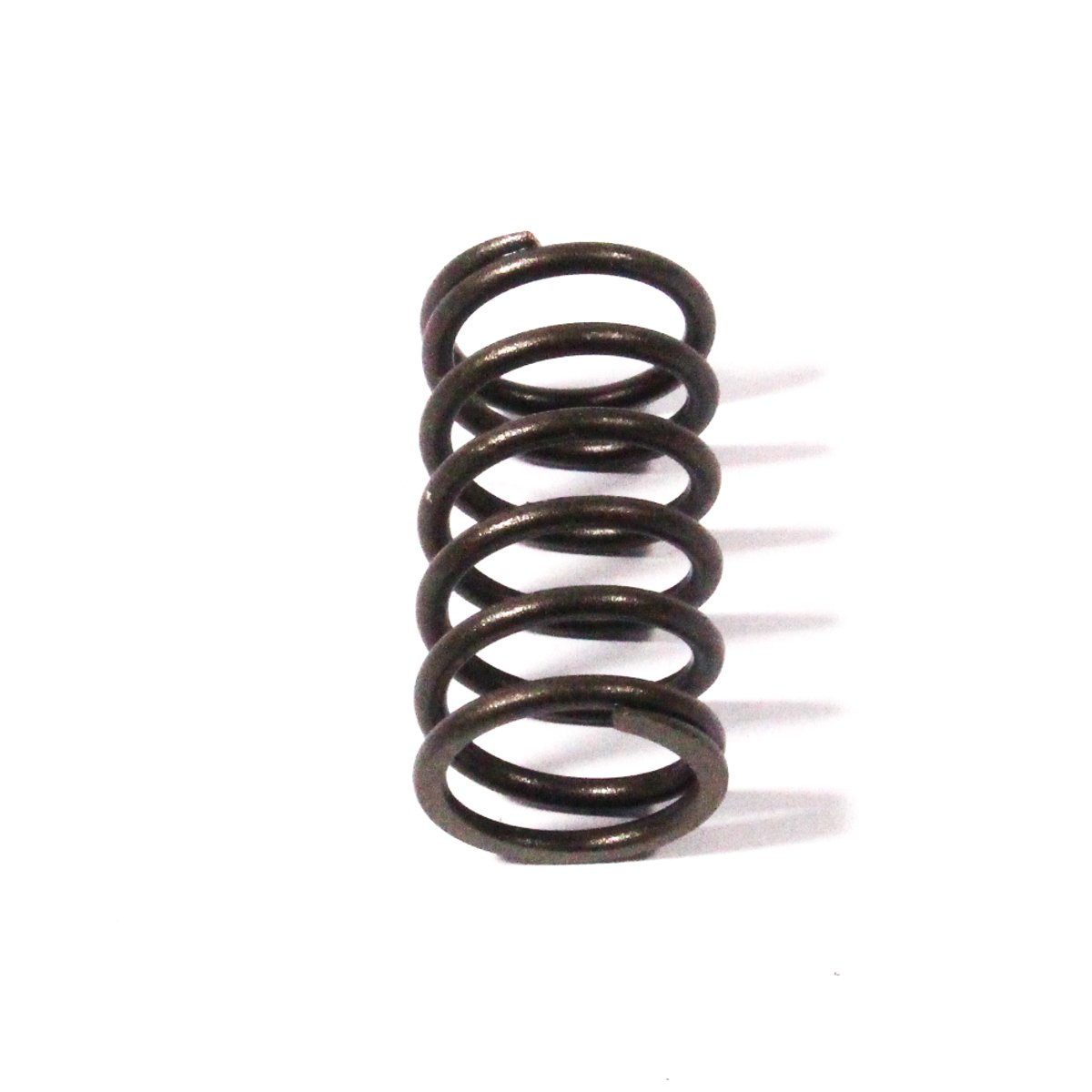 VALVE SPRING