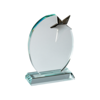 18cm Crystal Plaque with Star (Satin Box)