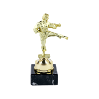 17cm Gold KarateTrophy Female (V202)