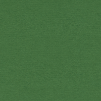 Select Colours Mountboard Forest Green