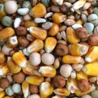 Johnston & Jeff Pigeon Breeding Mix 20kg