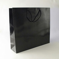 Large Black Luxury Bag 