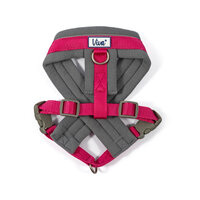 Ancol Viva Padded Harness Medium 41-53cm Pink x 1