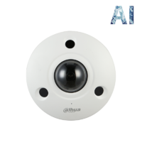 Dahua IP 12MP AI Fisheye Panoramic Camera