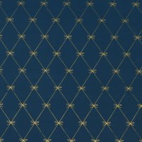 PAPER NAVY WITH GOLD DIAMOND