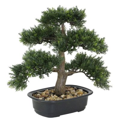 Bonsai Tree 35cm