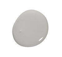 Colourtrend Silver Moonlight Soft Sheen Colour Swatch