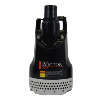 Submersible stream pump 