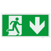 ESP Duceri Emergency Surface Exit Box 3W LED IP20 Down Legend Li