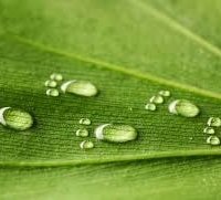 Eco Friendly Products